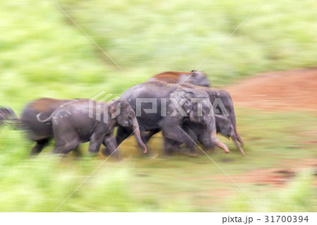 blur focus and speed shutter low blur focus and speed shutter low 31700394