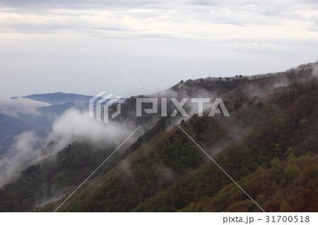 加平郡 京畿道 キョンギド 31700518