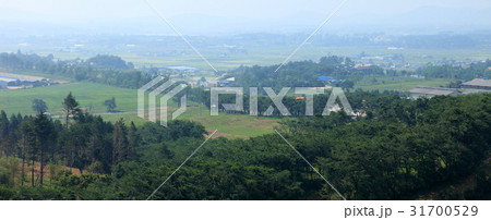 木 瑞山市 雲山 31700529