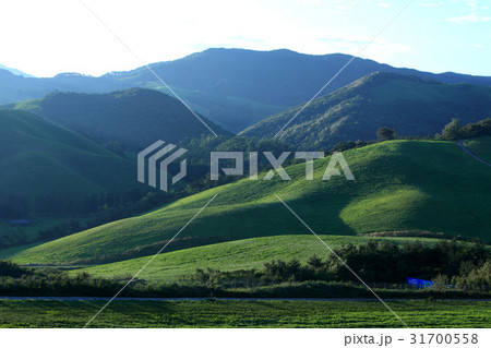 瑞山市 雲山 忠南 31700558
