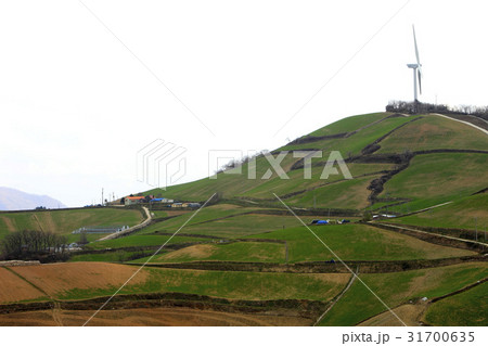 江陵市 タービン 風景 31700635