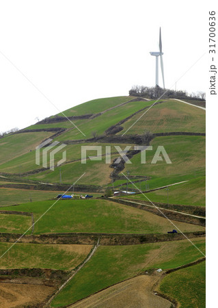 江陵市 タービン 風景 31700636