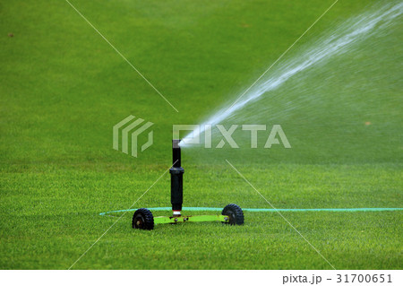 ゴルフ場 水流 スプリンクラー 31700651