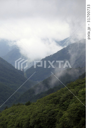 江原道 山 ヨンデリ 31700733