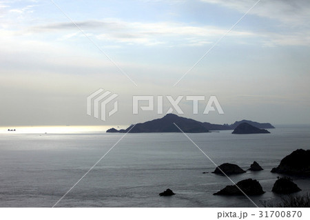 大小のボトル代 物件も 魚油も 31700870