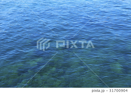 江原道 海 背景 31700904