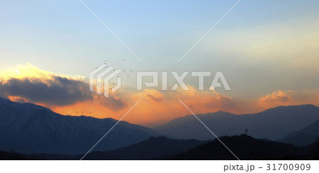 江原道 国立公園 雪岳山 31700909