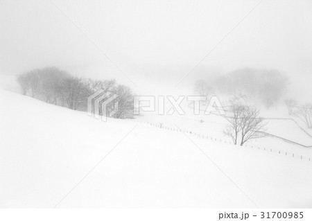 江原道 冬 大関嶺 31700985