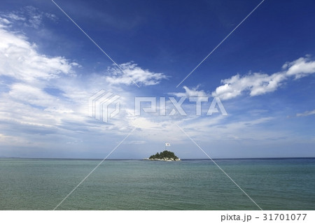 江陵市 島 太極旗 31701077