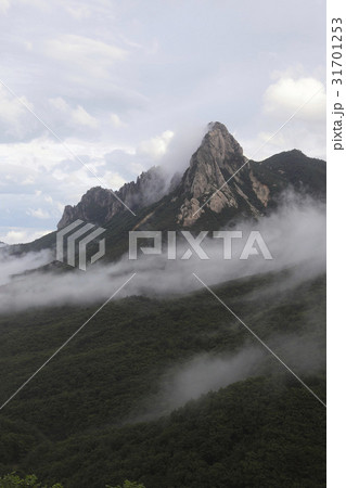 雲 雪岳山 霧 31701253