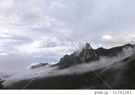 江原道 雲 雪岳山 31701261