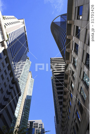 ローアングル ポラメタウン ソウル 31701426