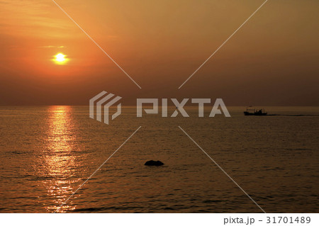 江原道 夕焼け 束草市 31701489