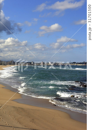 江陵市 海 注文津 31701500