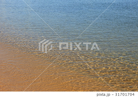 海 束草市 透明 31701704