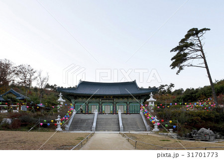 洛山寺 仏教 提灯 31701773
