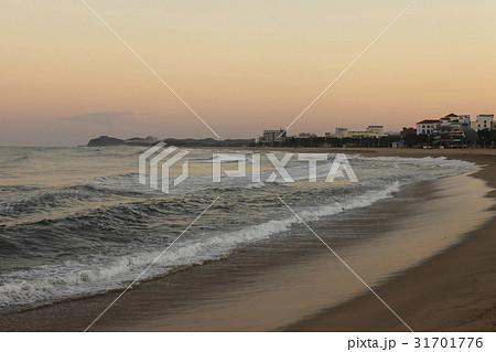 江原道 酪酸海水浴場 夕焼け 31701776