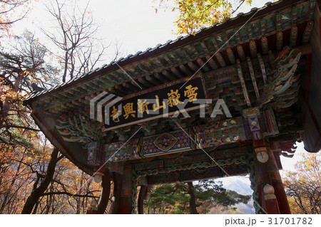 江原道 新興寺 日ご注文 31701782
