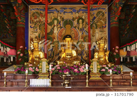 江原道 極楽保全 新興寺 31701790