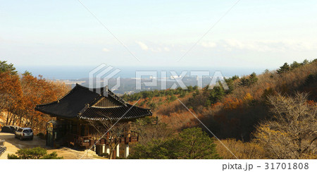 江原道 金剛山 韓国 31701808