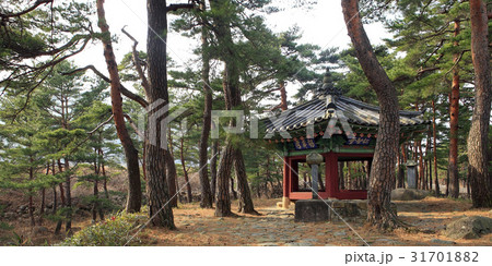 江原道 松 束草市 31701882