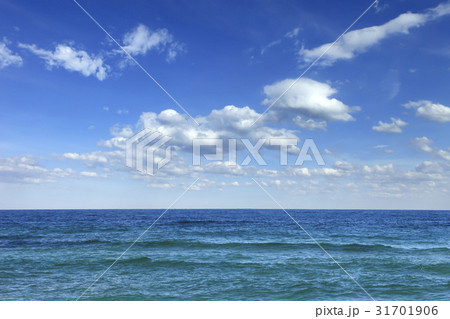 酪酸海水浴場 海 水平線 31701906