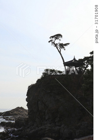 江原道 洛山寺 ウイサンデ 31701908