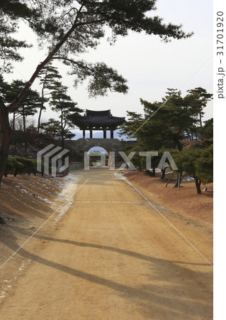 江原道 洛山寺 韓国 31701920