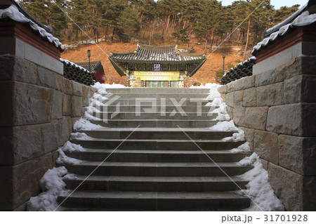 古建築 大雄殿 普賢寺 31701928