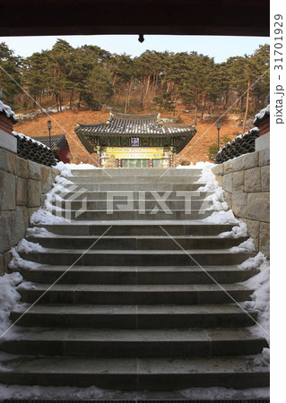 江陵市 江原道 大雄殿 31701929