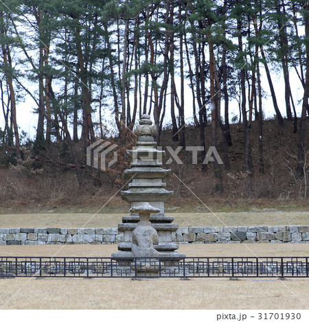 江陵市 江原道 韓国 31701930