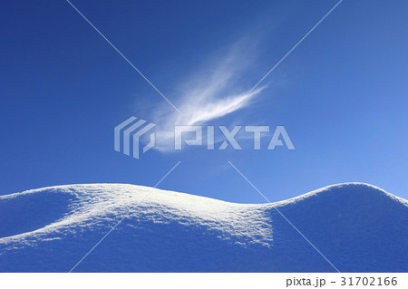 冬 大関嶺 自然 31702166