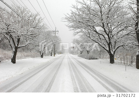 江原道 道路 束草市 31702172