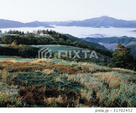 紅葉 大関嶺 山 31702452