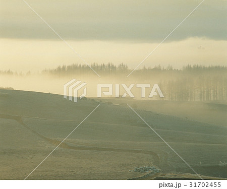 江原道 大関嶺 霧 31702455