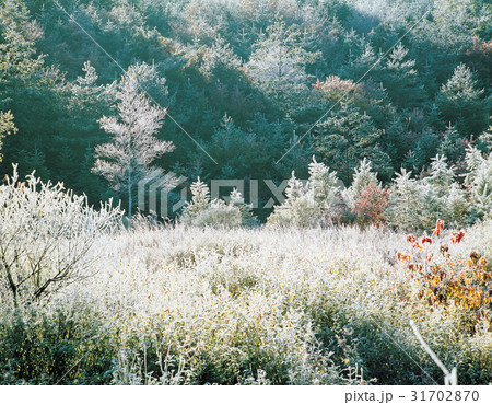 江原道 大関嶺 平昌郡 31702870