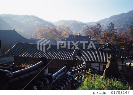 麻谷寺 忠南 韓国 31703147