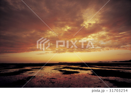 干潟 夕焼け 風景 31703254