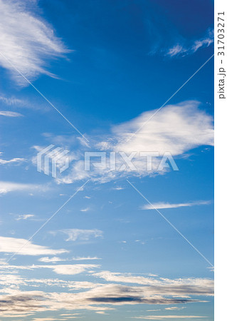 雲 羽毛雲 自然 31703271