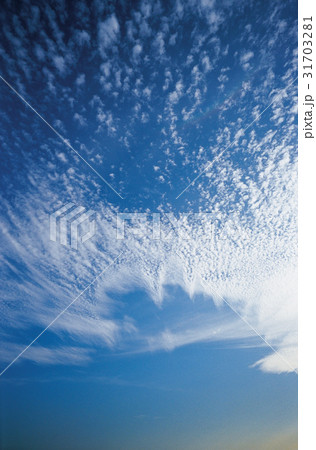 雲 うろこ雲 自然 31703281