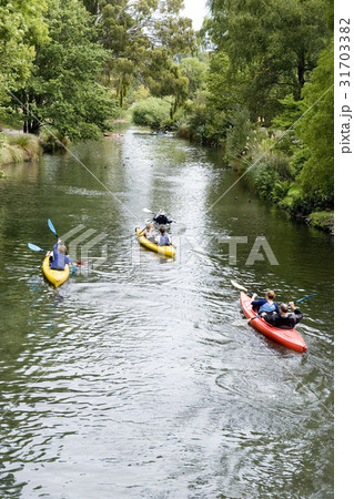 南島 ニュージーランドの ボート 31703382