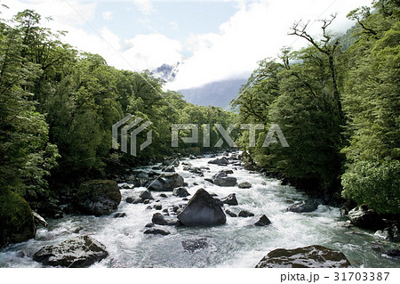 谷 南島 ニュージーランドの 31703387