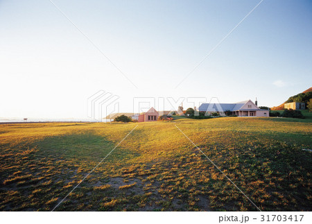 秋 南島 ニュージーランドの 31703417