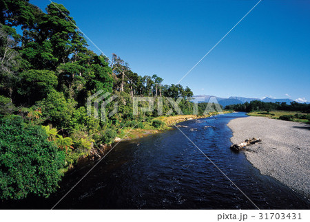 川 河 木 31703431