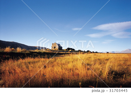 秋 南島 ニュージーランドの 31703445