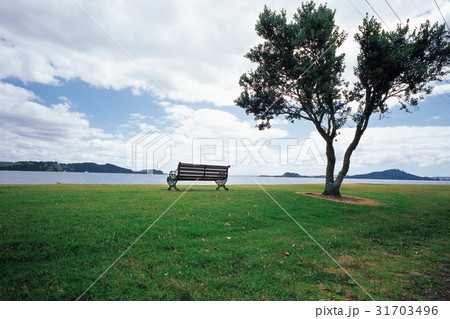 木 ニュージーランドの ベンチ 31703496