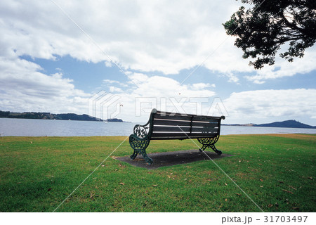 ニュージーランドの ベンチ 北島 31703497