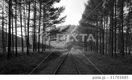 江原道 木 鉄道 31703685