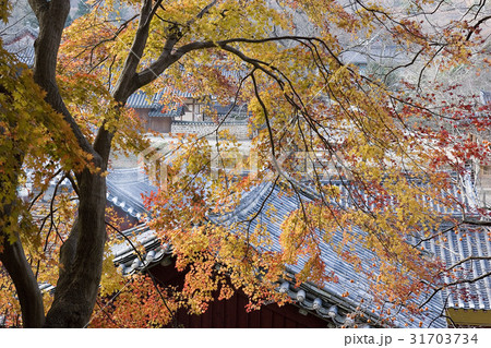 大興寺 全羅南道 韓国 31703734