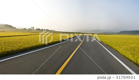 田畑 道路 風景 31704031
